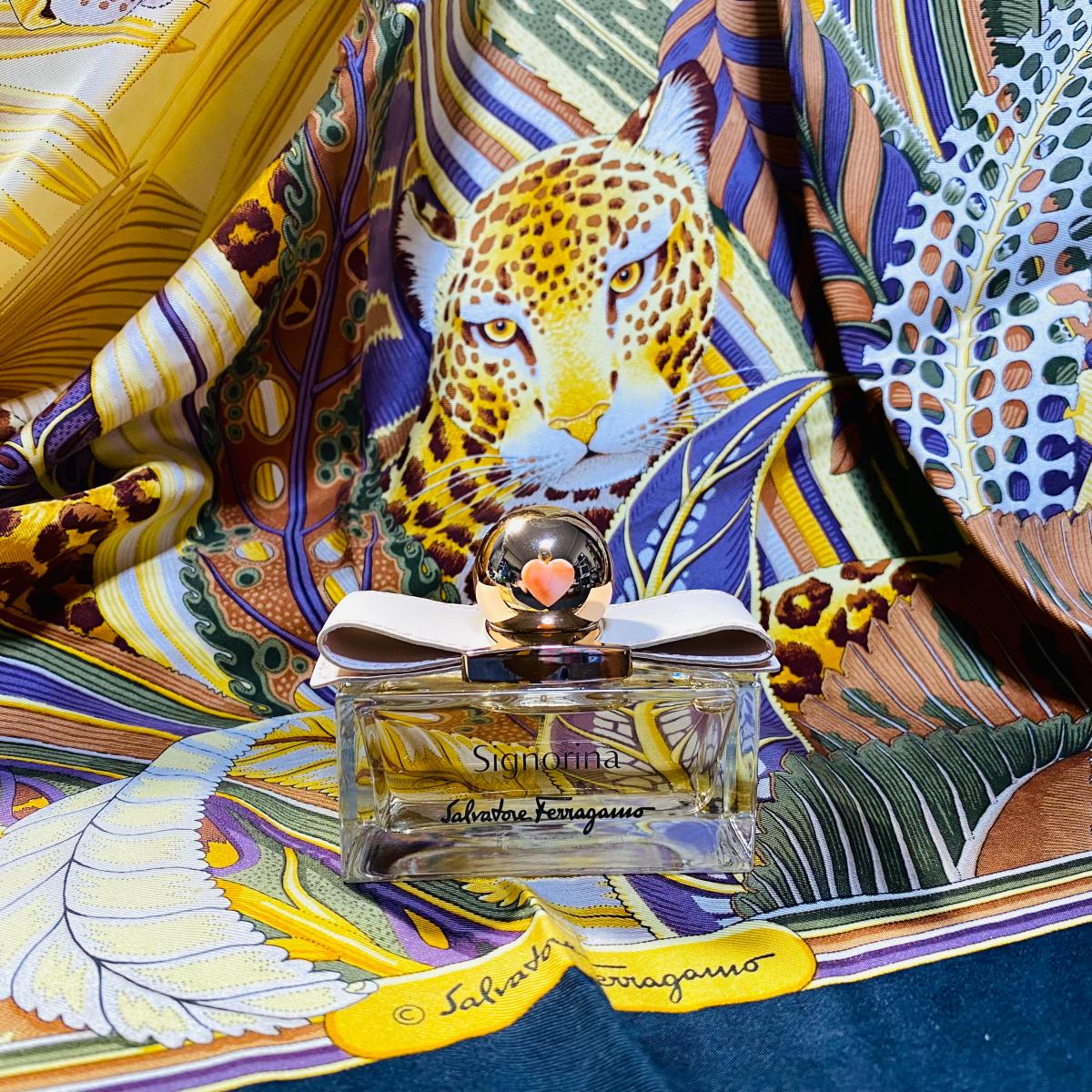 عطر ادکلن سینیورینا لدر ادیشن سالواتوره فراگامو - Signorina Leather Edition Salvatore Ferragamo - بررسی، قیمت و خرید