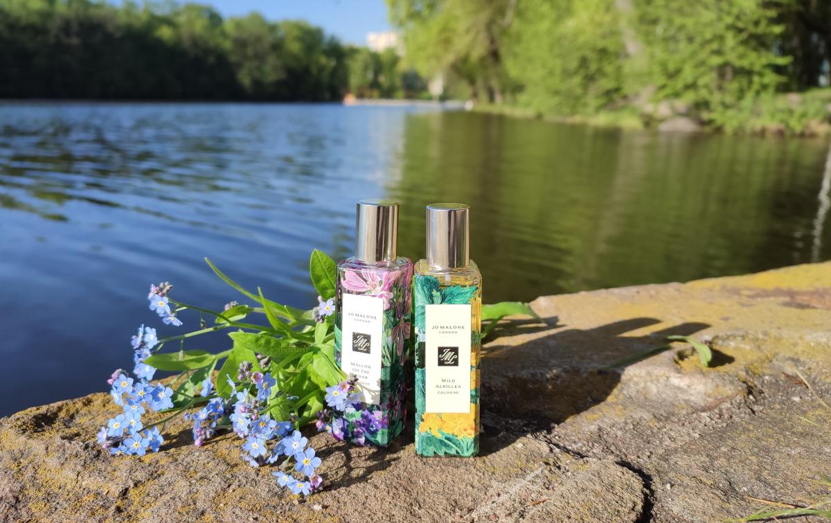 عطر ادکلن وایلد آکیلا جو مالون لندن - Wild Achillea Jo Malone London - بررسی، قیمت و خرید