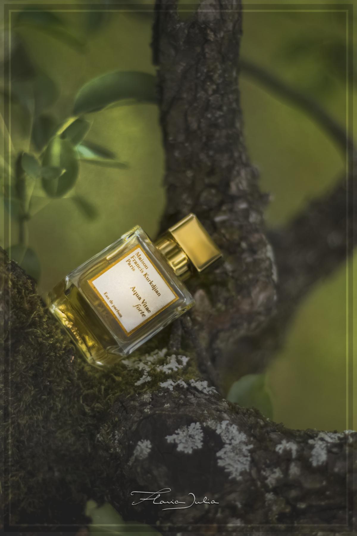 عطر ادکلن آکوا ویتا فورته میسون فرانسیس کردجیان - Aqua Vitae Forte Maison Francis Kurkdjian - بررسی، قیمت و خرید
