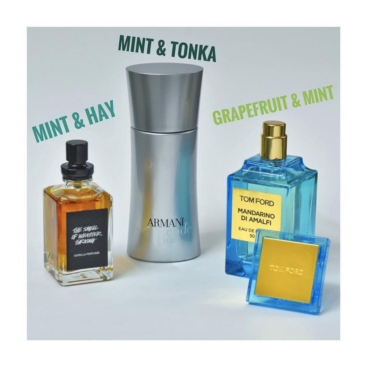 عطر ادکلن د سمل آو ودر ترنینگ لاش - The Smell of Weather Turning Lush - بررسی، قیمت و خرید