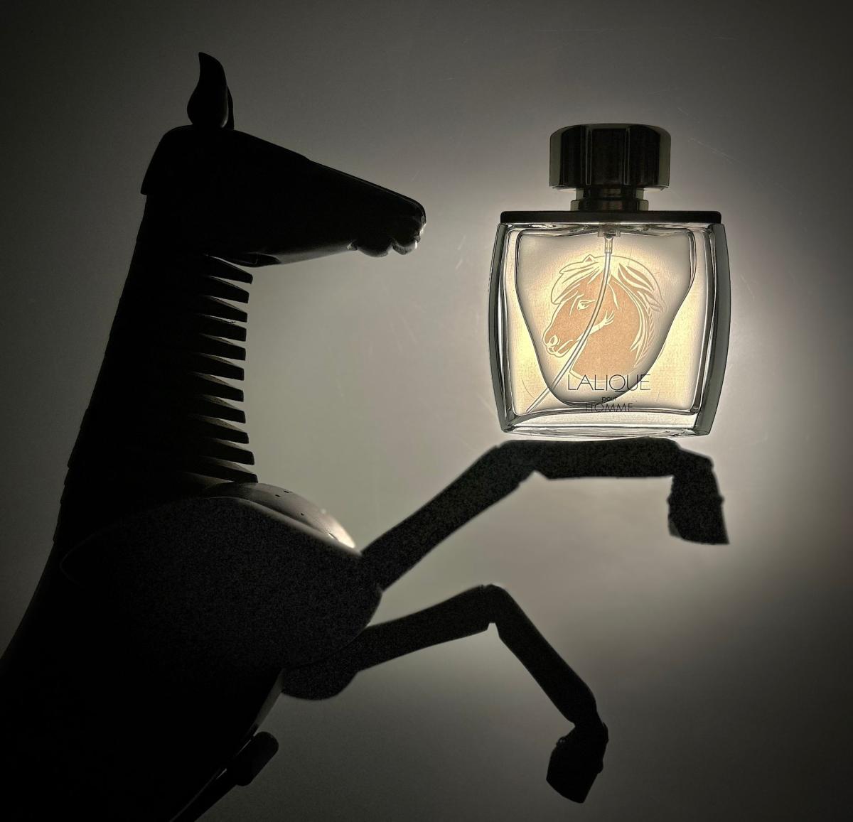 عطر ادکلن لالیک پور هوم اکوس لالیک - Lalique Pour Homme Equus Lalique - بررسی، قیمت و خرید