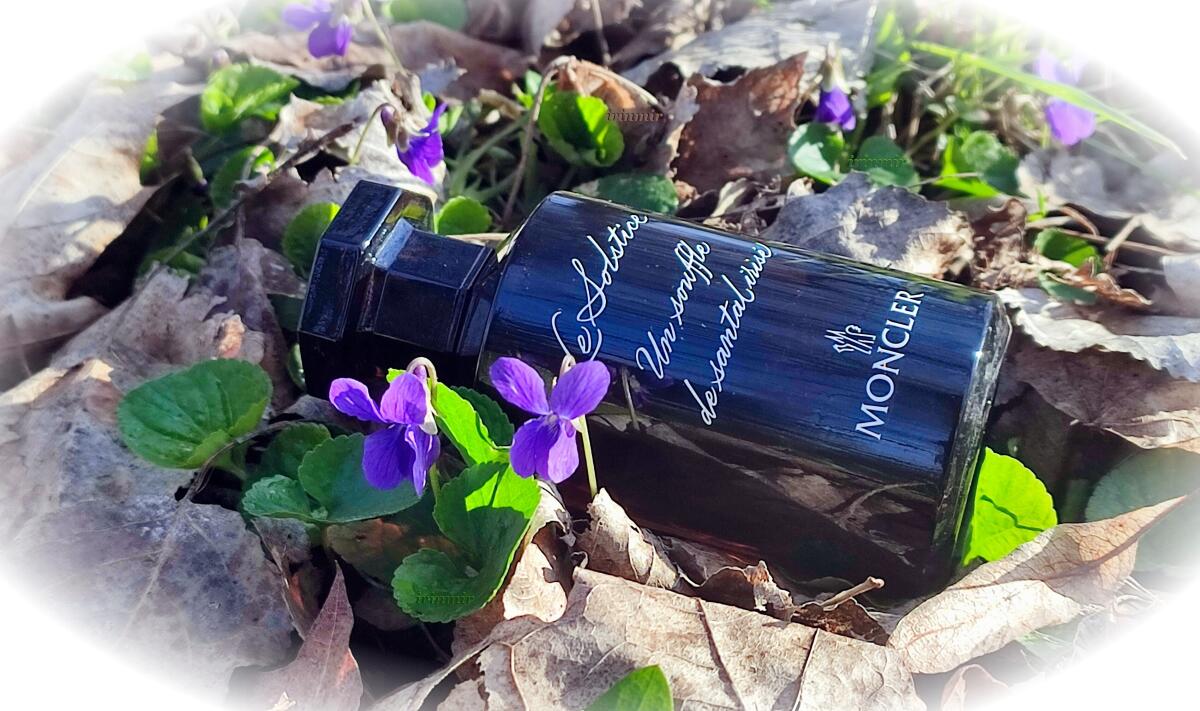 عطر ادکلن لو سولیستس مونکلر - Le Solstice Moncler - بررسی، قیمت و خرید