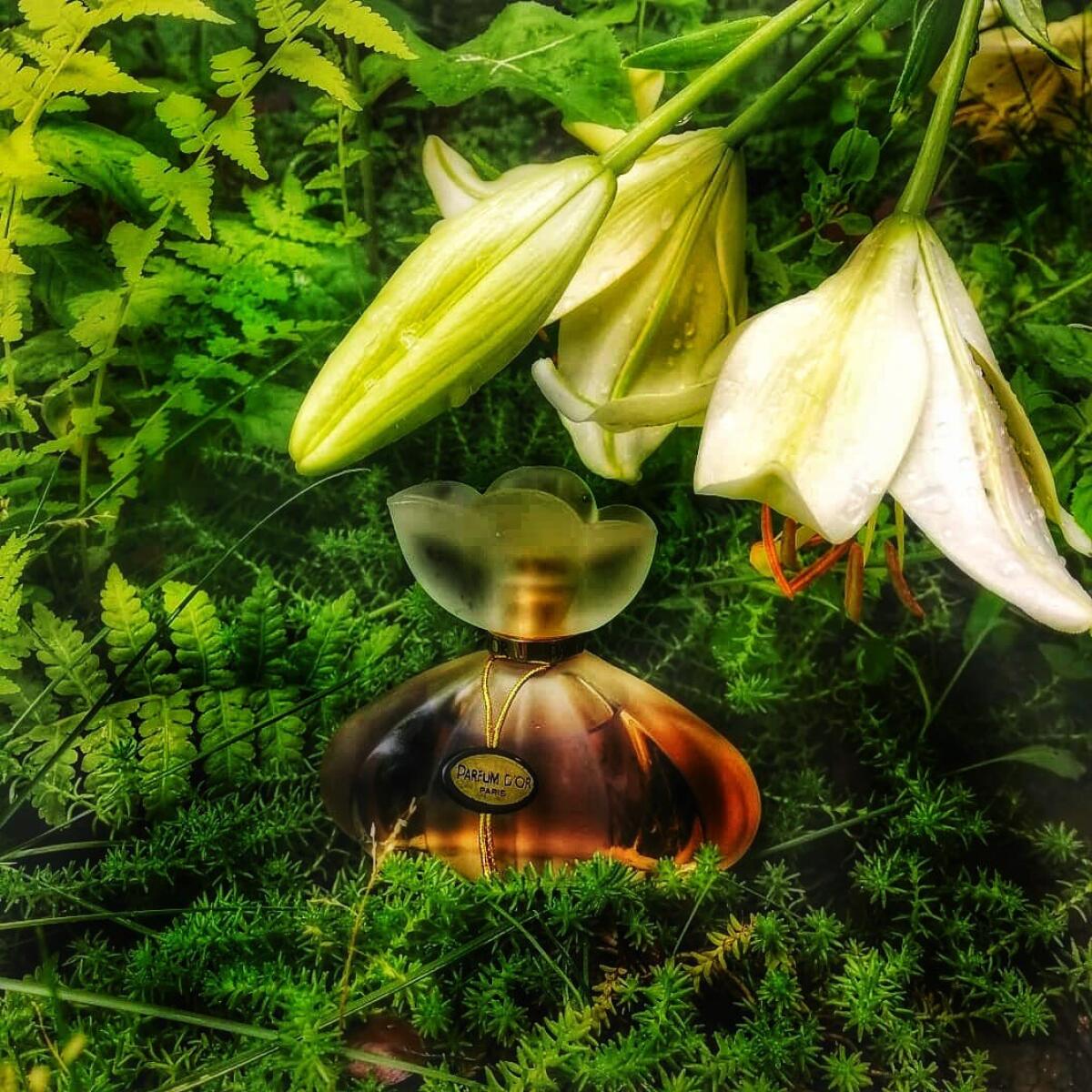 عطر ادکلن پرفیوم دور کریستال سنت مارتین - Parfum D'Or Kristel Saint Martin - بررسی، قیمت و خرید