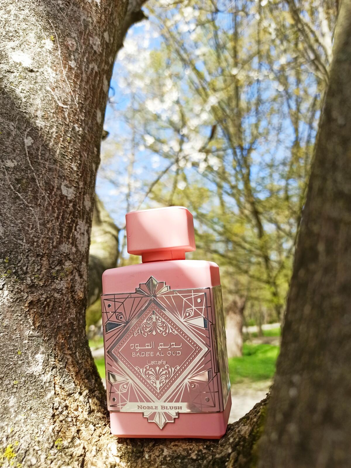 عطر ادکلن نوبل بلش لتافا پرفیومز - Noble Blush Lattafa Perfumes - بررسی، قیمت و خرید