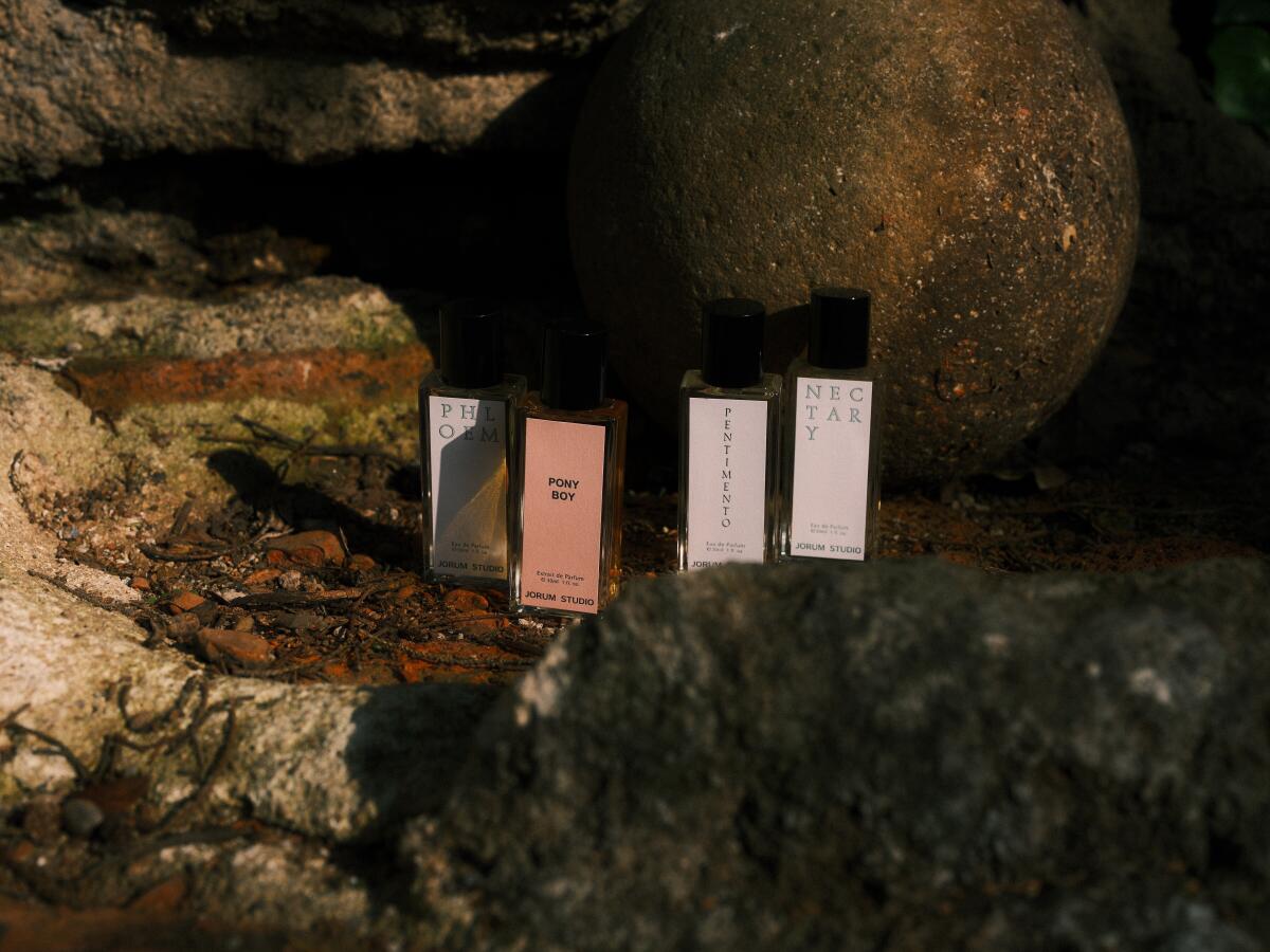 عطر ادکلن الژی جرم استودیو - Elegy Jorum Studio - بررسی، قیمت و خرید