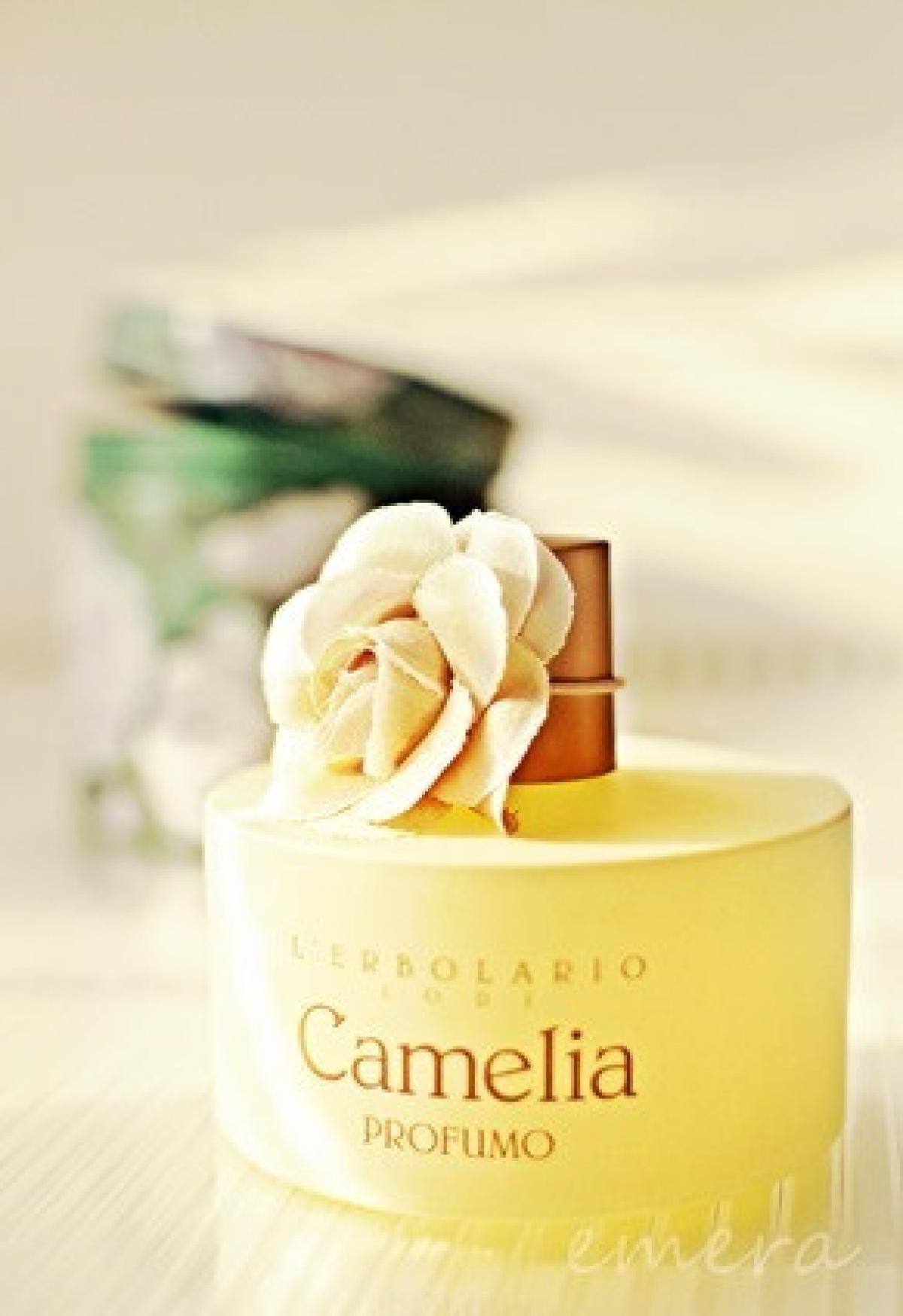 عطر ادکلن کامیلیا لربولاریو - Camelia L'Erbolario - بررسی، قیمت و خرید