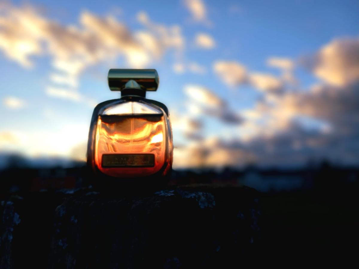 عطر ادکلن لِکس‌تاس نینا ریچی - L’Extase Nina Ricci - بررسی، قیمت و خرید