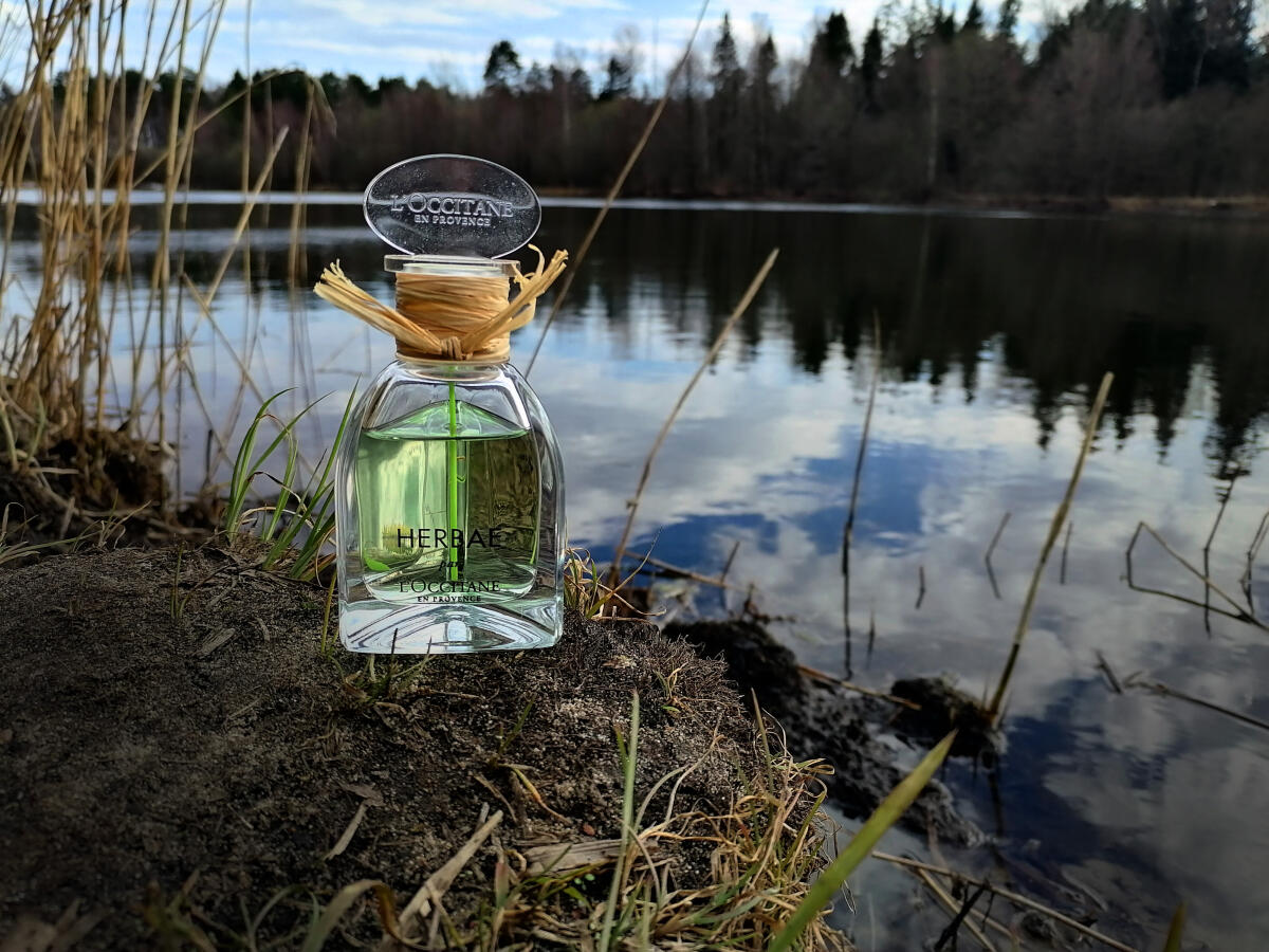 عطر ادکلن هربا لوکسیتان - Herbae L'Occitane en Provence - بررسی، قیمت و خرید