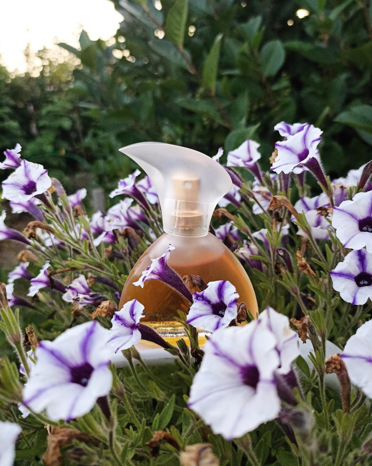 عطر ادکلن آروم ابسلو ژان آرتس - Arome Absolu Jeanne Arthes - بررسی، قیمت و خرید