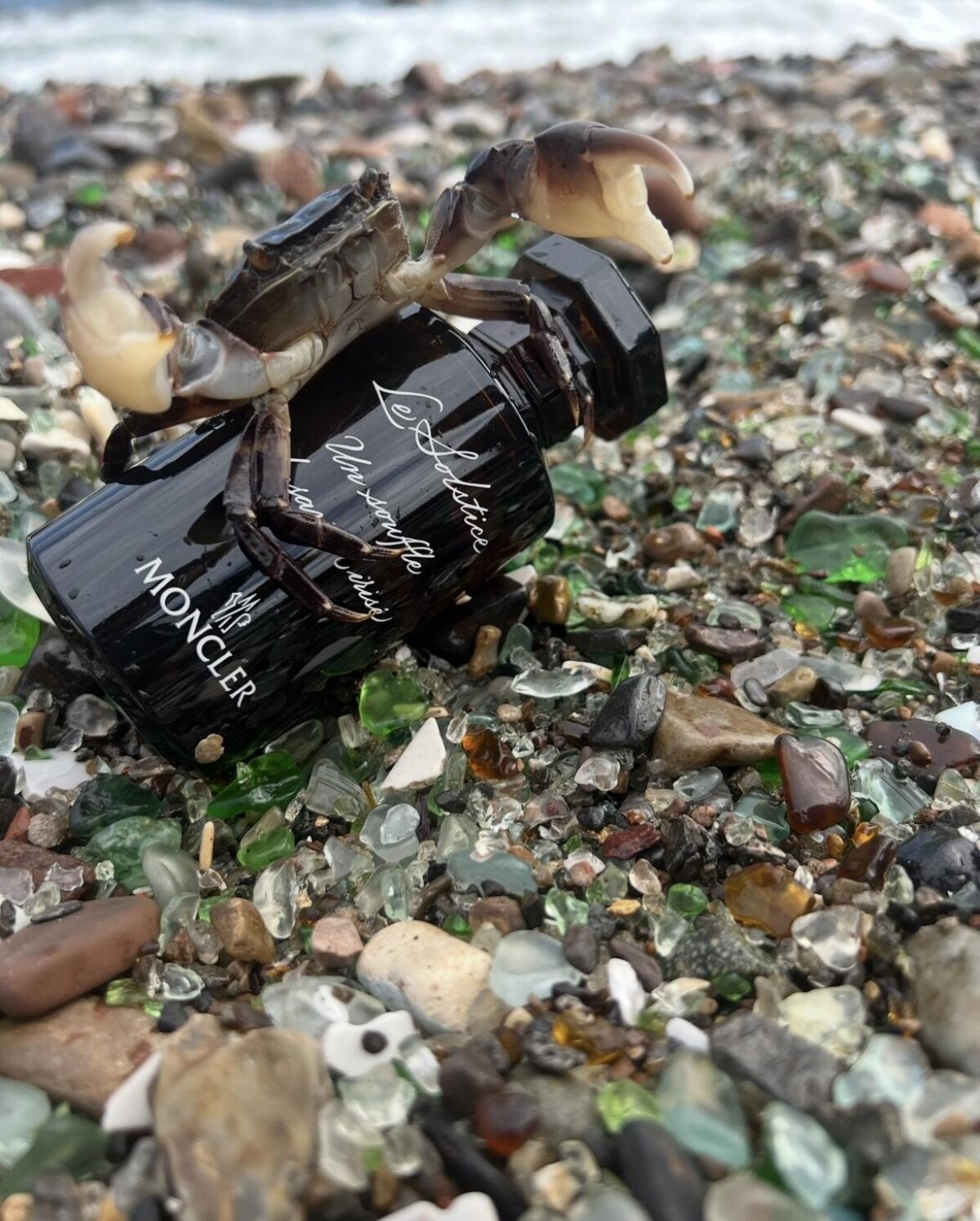 عطر ادکلن لو سولیستس مونکلر - Le Solstice Moncler - بررسی، قیمت و خرید