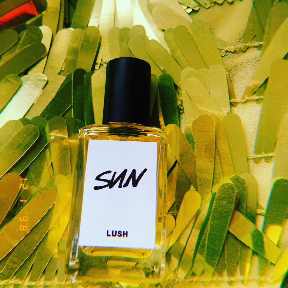 عطر ادکلن سان لاش - Sun Lush - بررسی، قیمت و خرید
