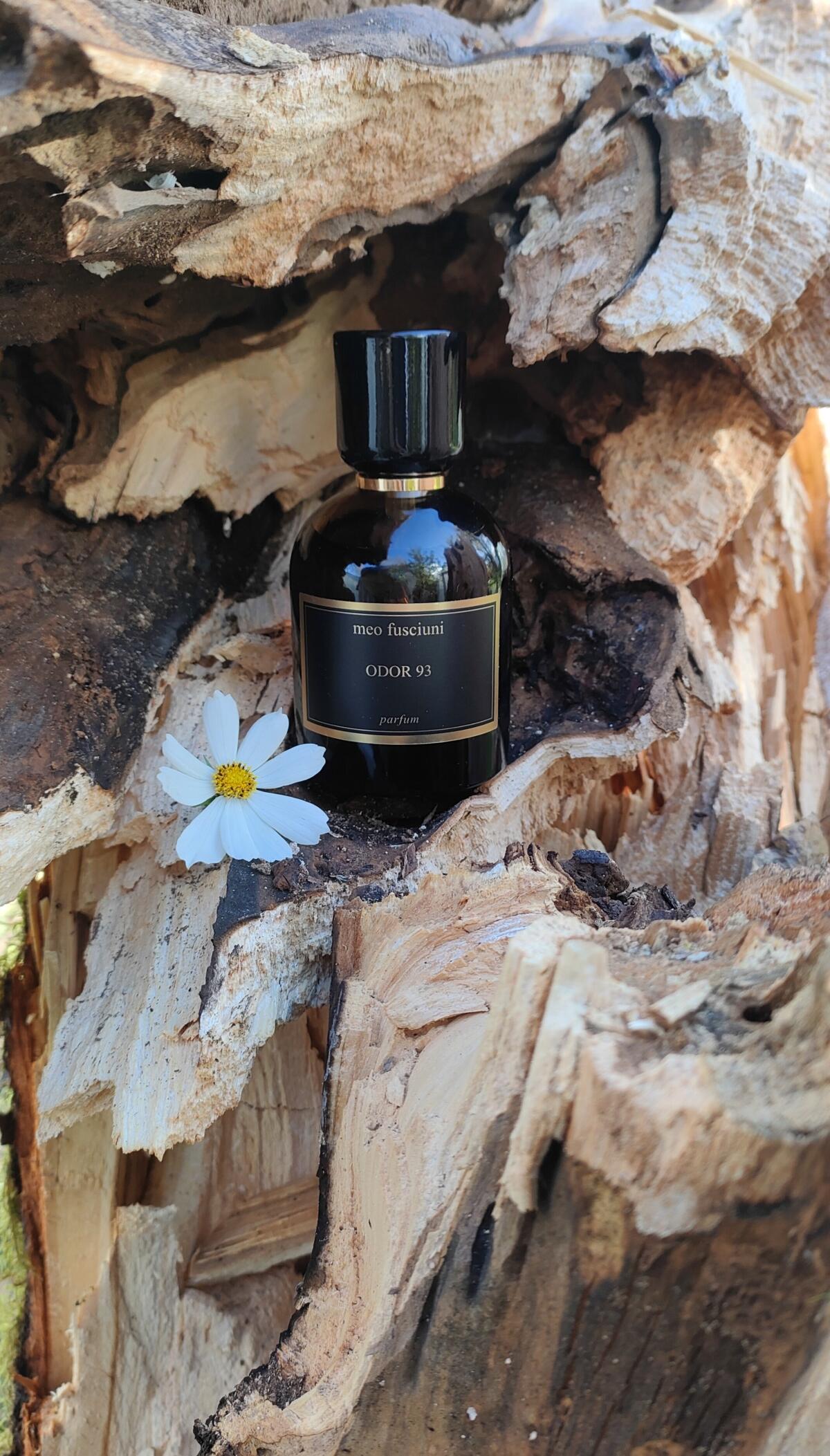عطر ادکلن اودور نود و سه می‌او فوسچونی - Odor 93 Meo Fusciuni - بررسی، قیمت و خرید