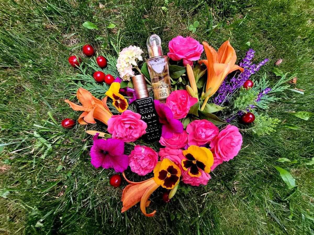 عطر ادکلن اسپارکل این پاریس اوریفلیم - Sparkle in Paris Oriflame - بررسی، قیمت و خرید