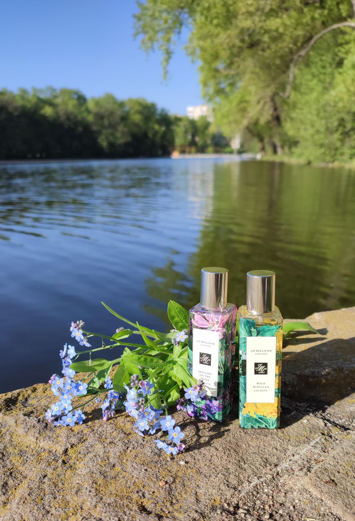 عطر ادکلن وایلد آکیلا جو مالون لندن - Wild Achillea Jo Malone London - بررسی، قیمت و خرید