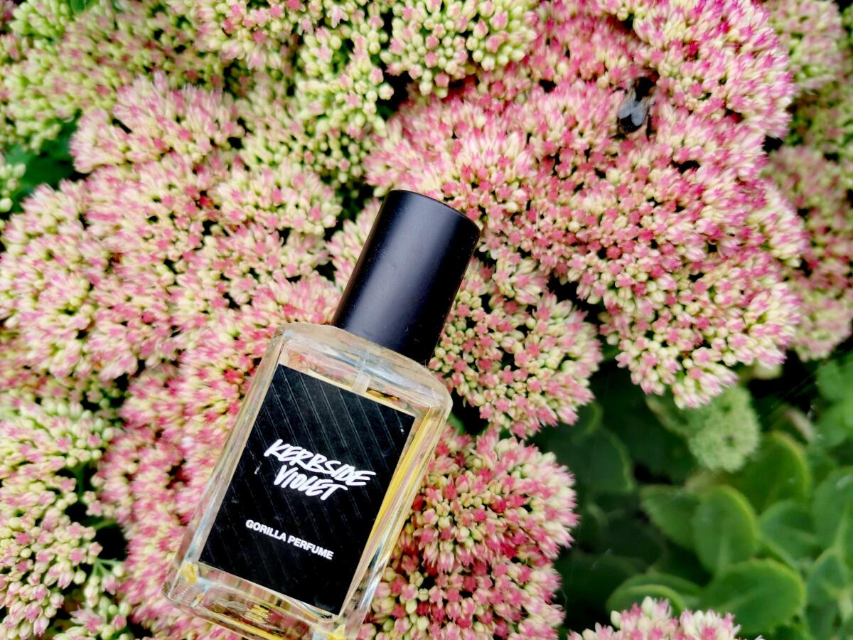 عطر ادکلن کربساید وایولت لاش - Kerbside Violet Lush - بررسی، قیمت و خرید