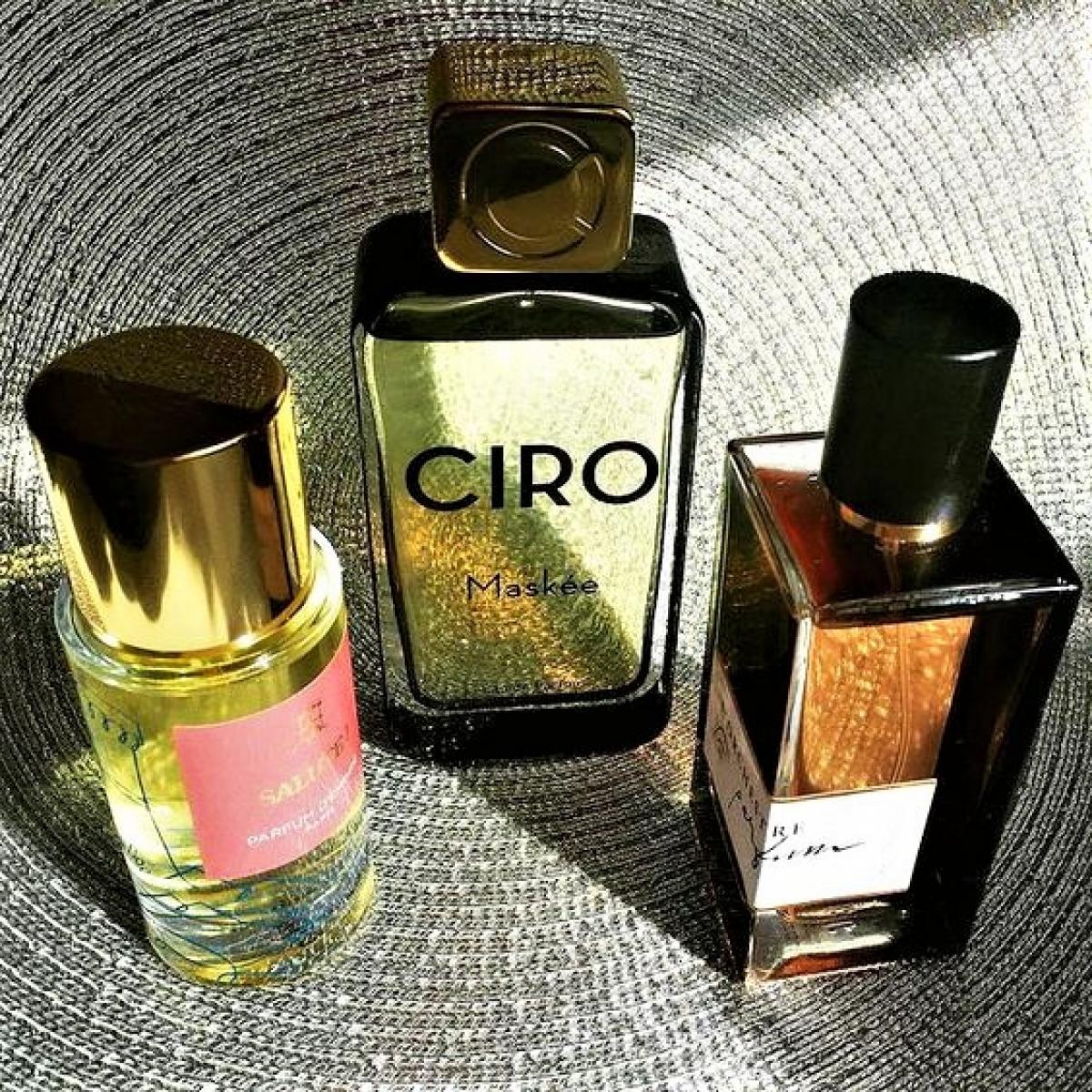 عطر ادکلن رز ترومبون لورکستر پرفیوم - Rose Trombone L'Orchestre Parfum - بررسی، قیمت و خرید