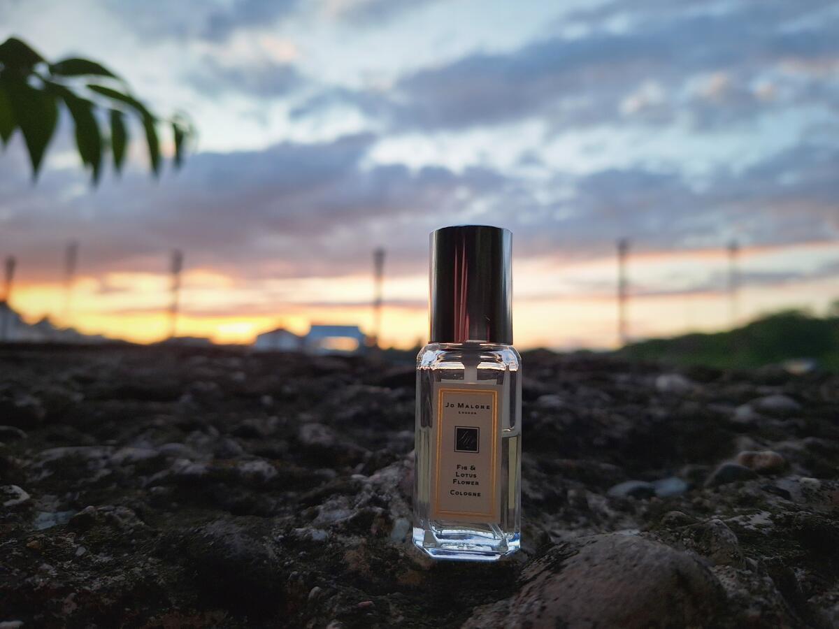 عطر ادکلن فیگ اند لوتوس فلاور جو مالون لاندن - Fig & Lotus Flower Jo Malone London - بررسی، قیمت و خرید