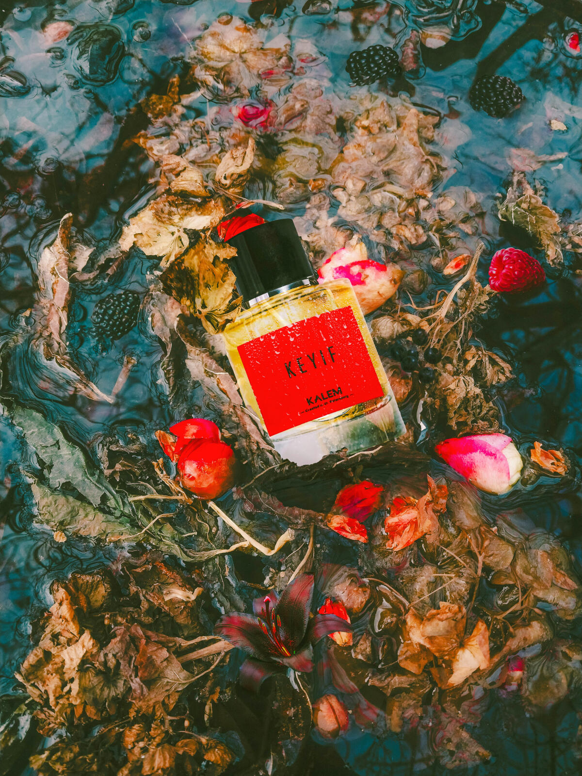 عطر ادکلن کیف کَلِم - Keyif Kalem - بررسی، قیمت و خرید