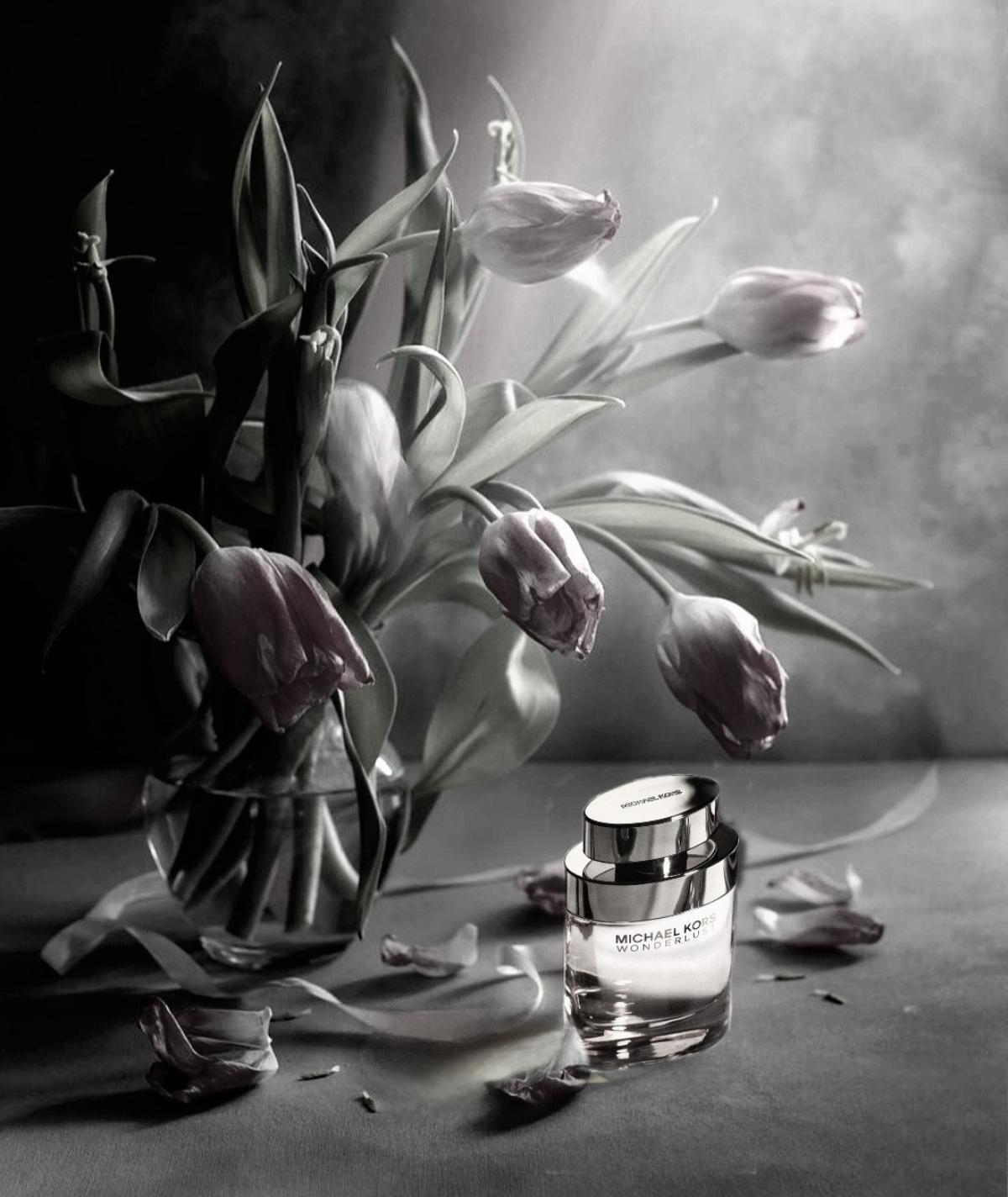 عطر ادکلن واندرلاست مایکل کُرس - Wonderlust Michael Kors - بررسی، قیمت و خرید