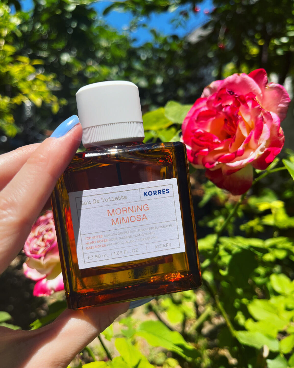 عطر ادکلن مورنینگ میموسا کورِس - Morning Mimosa Korres - بررسی، قیمت و خرید