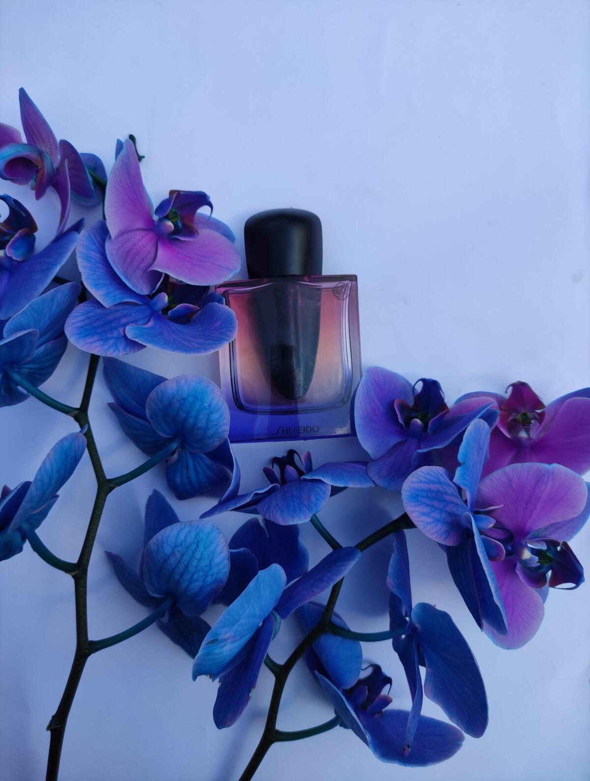 عطر ادکلن گینزا نایت شیسیدو - Ginza Night Shiseido - بررسی، قیمت و خرید