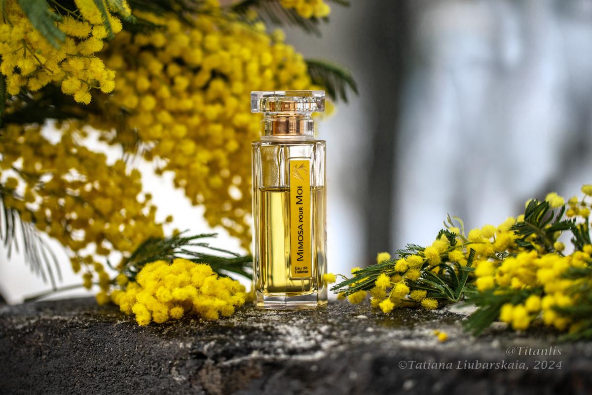 عطر ادکلن میموسا پور موآ لارتیزان پارفومر - Mimosa Pour Moi L'Artisan Parfumeur - بررسی، قیمت و خرید