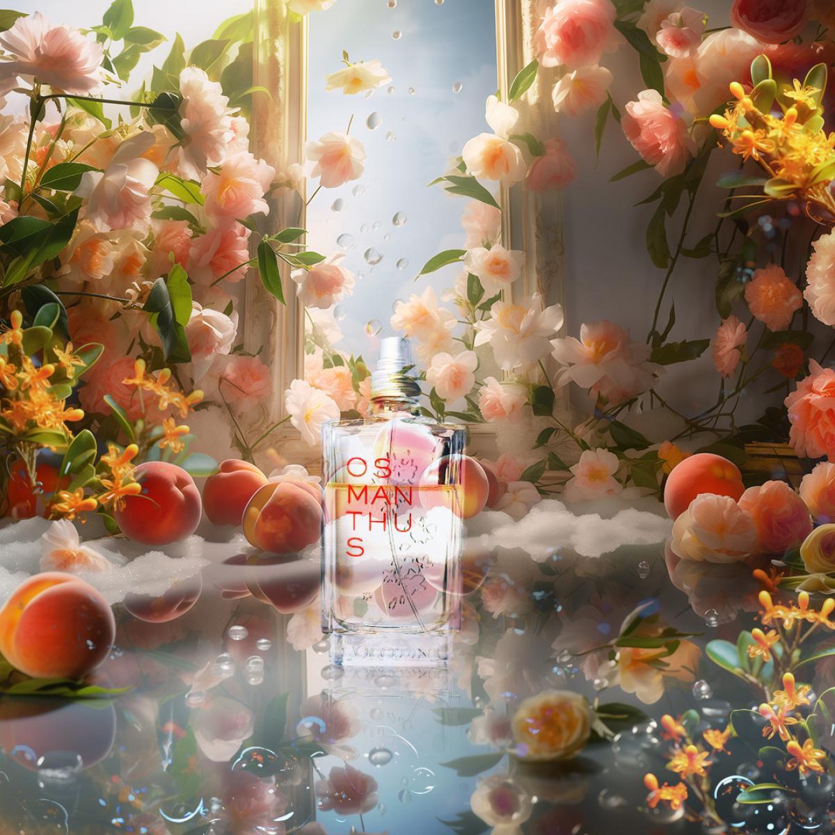 عطر ادکلن اسمانتوس لوکسیتان - Osmanthus L'Occitane en Provence - بررسی، قیمت و خرید