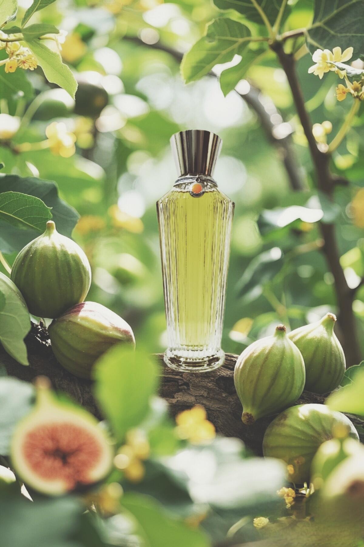 عطر ادکلن آشوکا نیلا ورمیر کریشنز - Ashoka Neela Vermeire Creations - بررسی، قیمت و خرید