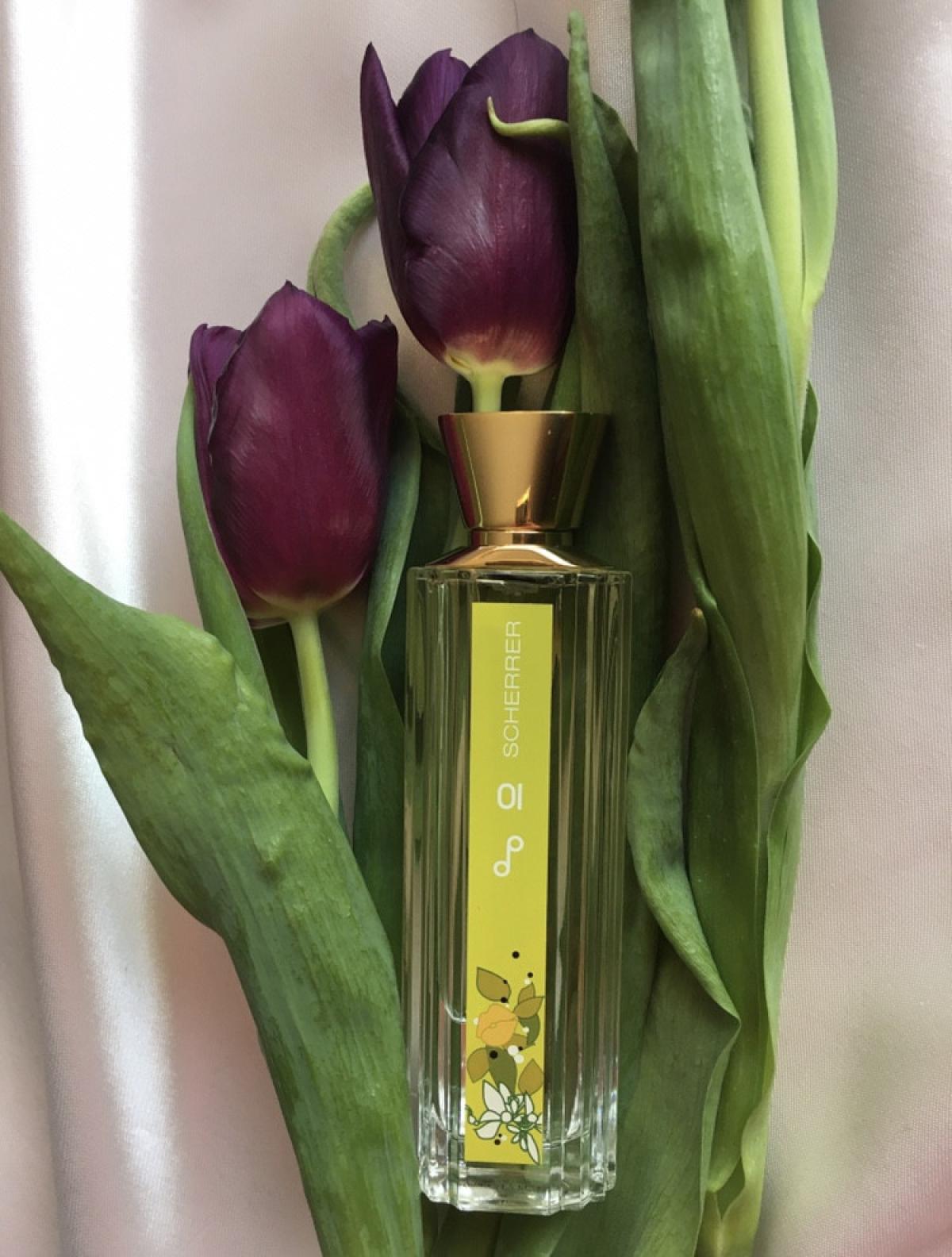 عطر ادکلن پاپ دلايتز صفر یک ژان لوئی شرر - Pop Delights 01 Jean-Louis Scherrer - بررسی، قیمت و خرید