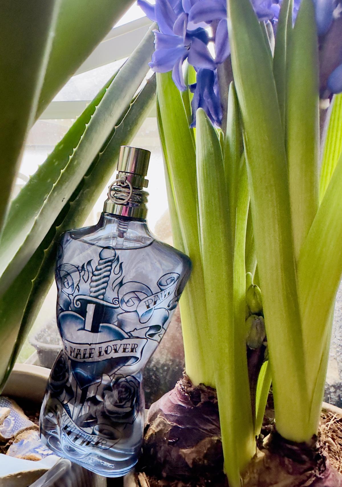 عطر ادکلن ل مل لاور ژان پل گوتیه - Le Male Lover Jean Paul Gaultier - بررسی، قیمت و خرید