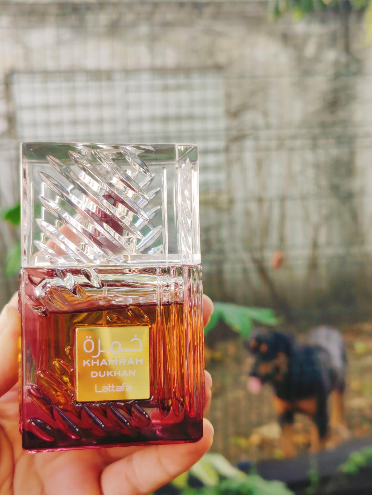 عطر ادکلن خمراه دخان لطافا پرفیومز - Khamrah Dukhan Lattafa Perfumes - بررسی، قیمت و خرید