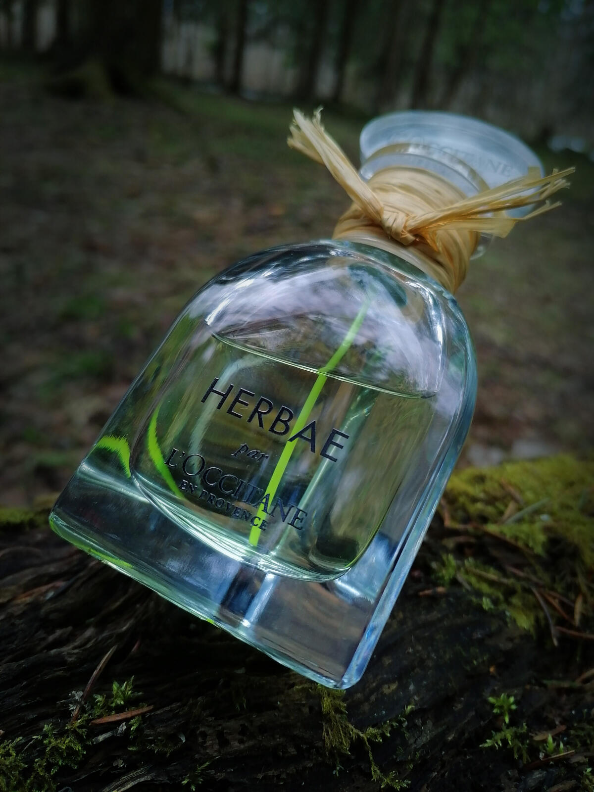 عطر ادکلن هربا لوکسیتان - Herbae L'Occitane en Provence - بررسی، قیمت و خرید