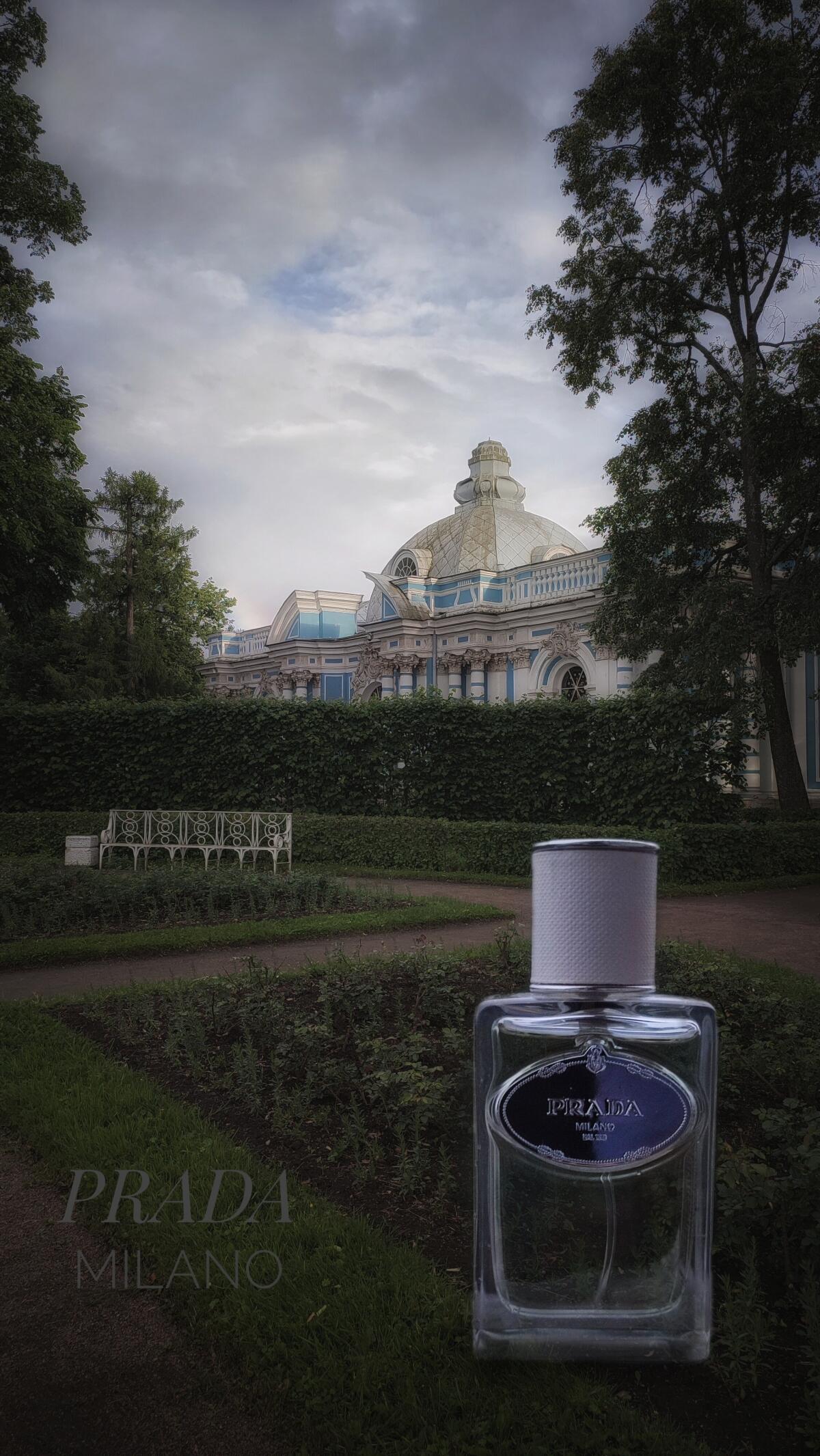 عطر ادکلن اینفیوژن د اوم پرادا - Infusion d'Homme Prada - بررسی، قیمت و خرید