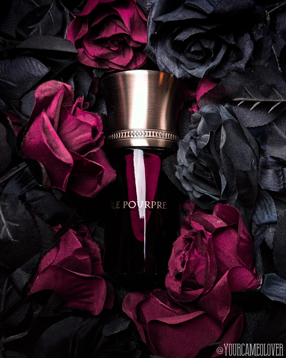 عطر ادکلن لیل پوغپغ لز لیکوید ایمجینر - L’Ile Pourpre Les Liquides Imaginaires - بررسی، قیمت و خرید