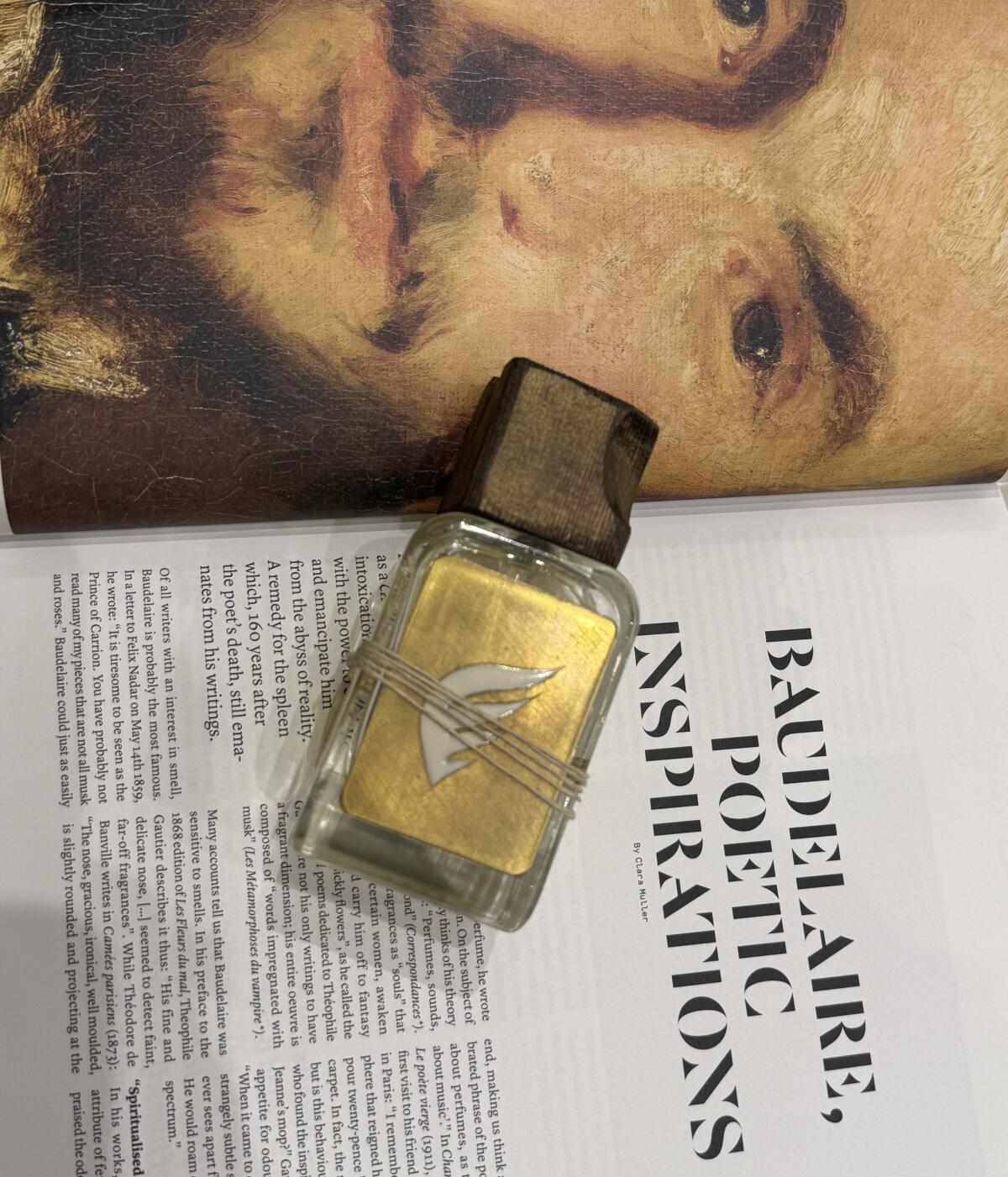 عطر ادکلن آلباتروس مندیتوروسا - Albatros Mendittorosa - بررسی، قیمت و خرید