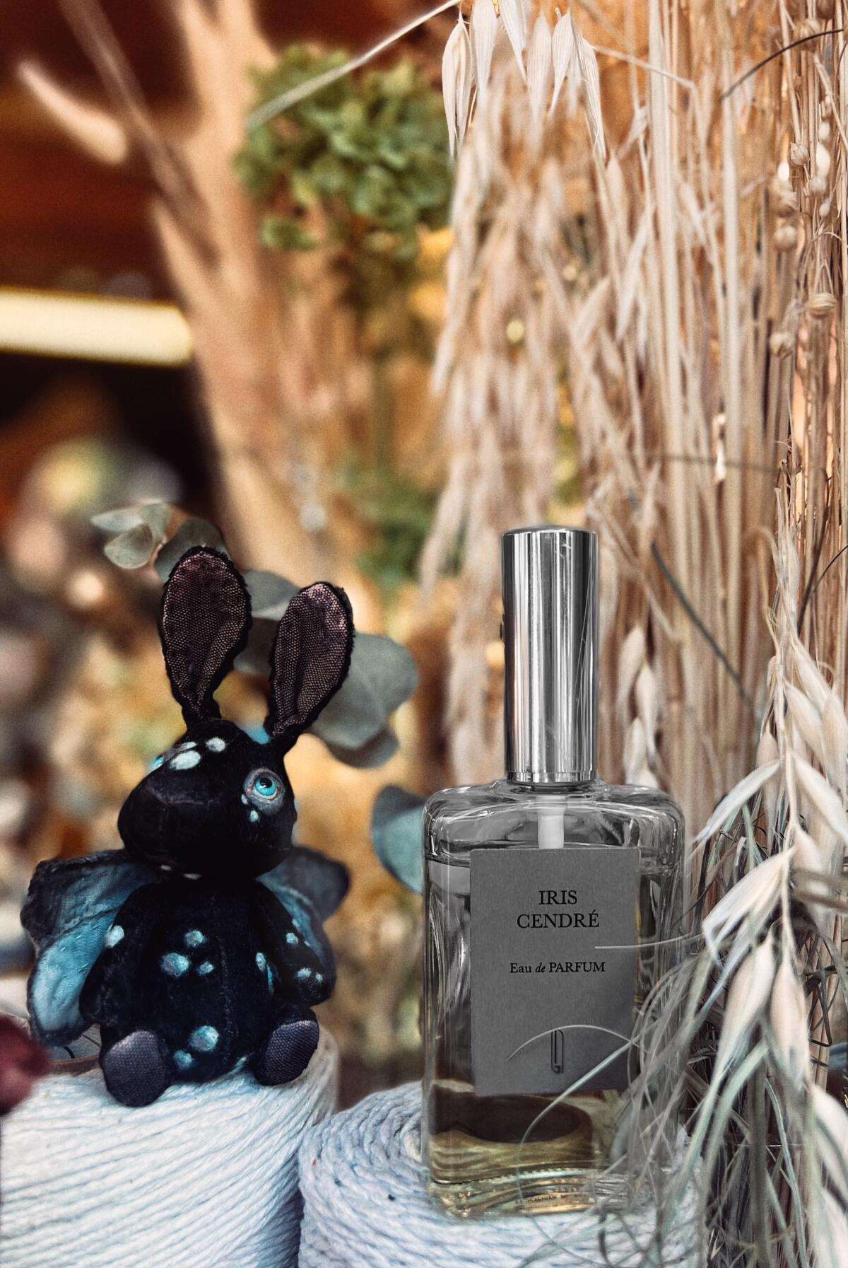 عطر ادکلن آیریس سندر نایومی گودسیر - Iris Cendre Naomi Goodsir - بررسی، قیمت و خرید