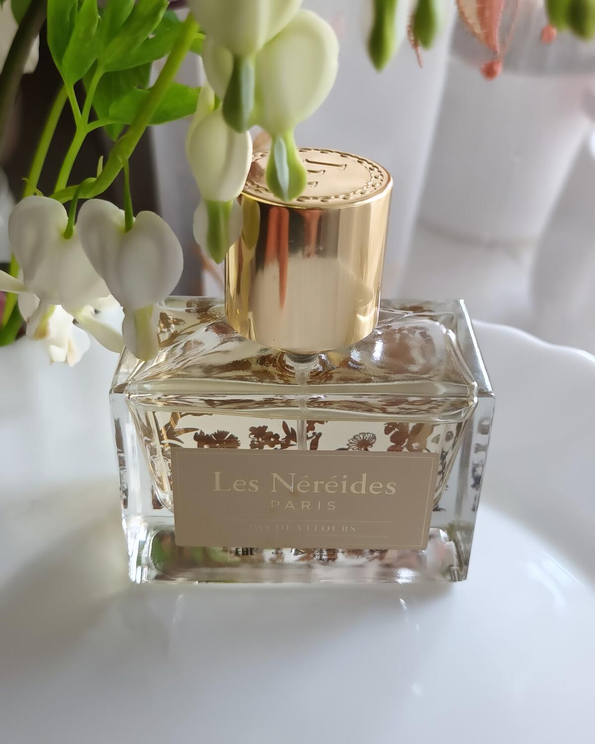 عطر ادکلن پادلوغ له نریدا - Pas De Velours Les Nereides - بررسی، قیمت و خرید