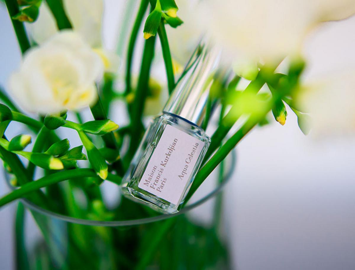 عطر ادکلن آکوا سلستیا میسون فرانسیس کورکجان - Aqua Celestia Maison Francis Kurkdjian - بررسی، قیمت و خرید