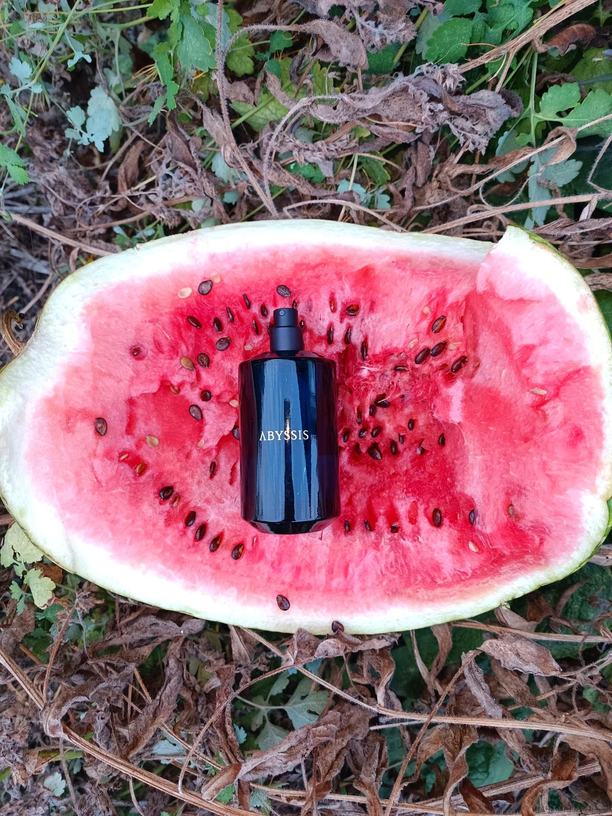 عطر ادکلن ابیسیس له لیکید ایمجینر - Abyssis Les Liquides Imaginaires - بررسی، قیمت و خرید