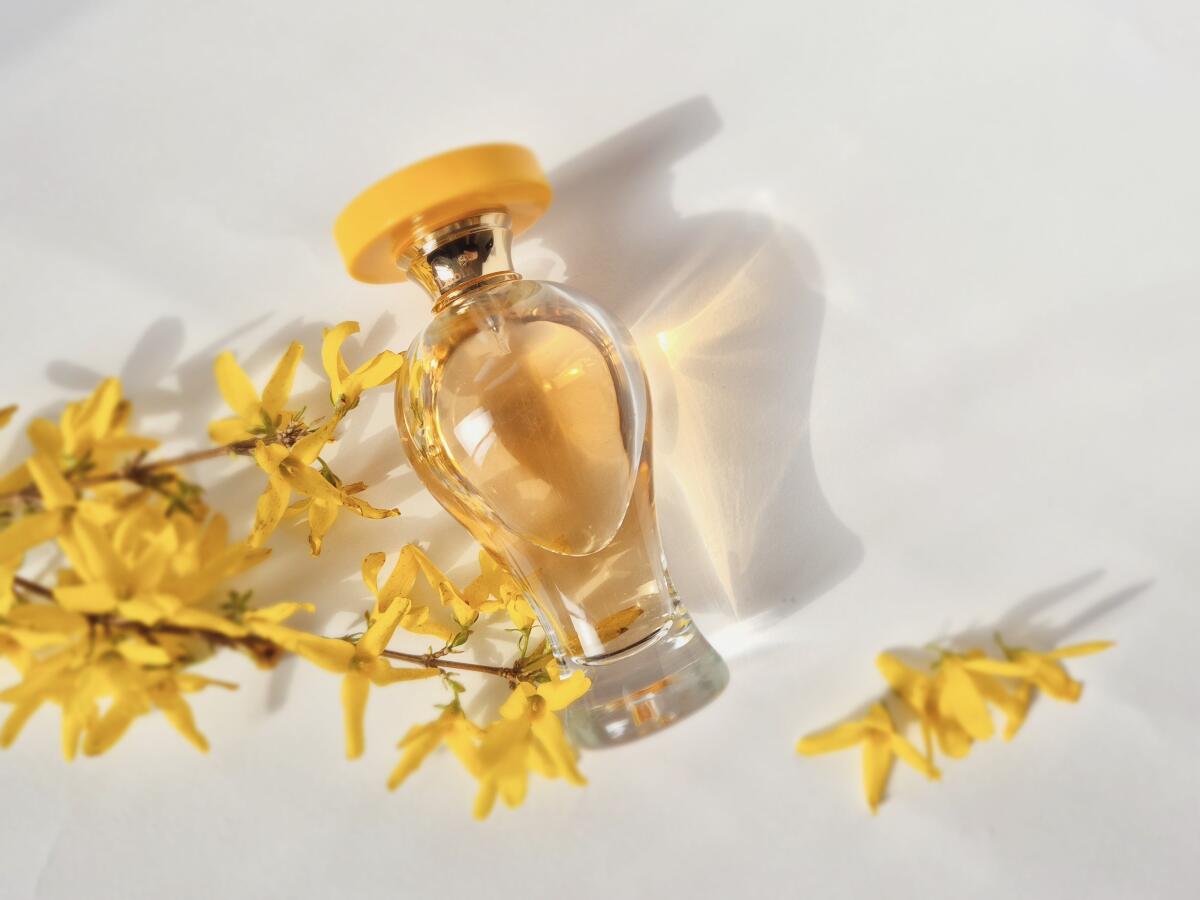عطر ادکلن اپیدور لوبین - Epidor Lubin - بررسی، قیمت و خرید