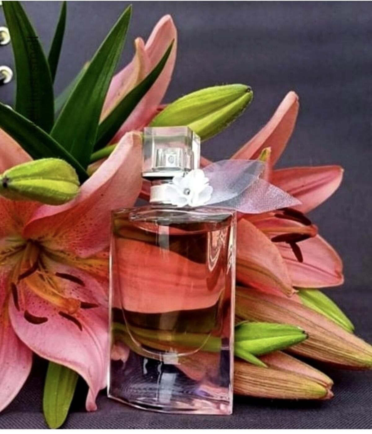 عطر ادکلن لا وی است بل لئو دو توالت فلورال لانکوم - La Vie Est Belle L’Eau de Toilette Florale Lancôme - بررسی، قیمت و خرید