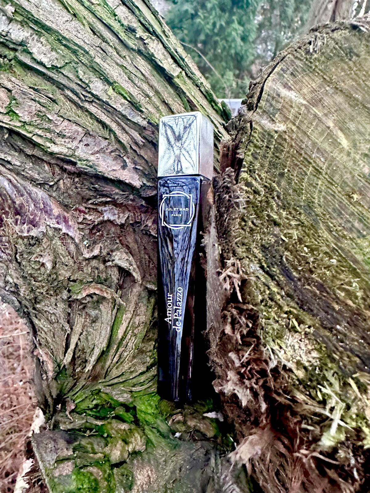 عطر ادکلن امور د پَلَزو ژول ات مد پاریس - Amour de Palazzo Jul et Mad Paris - بررسی، قیمت و خرید