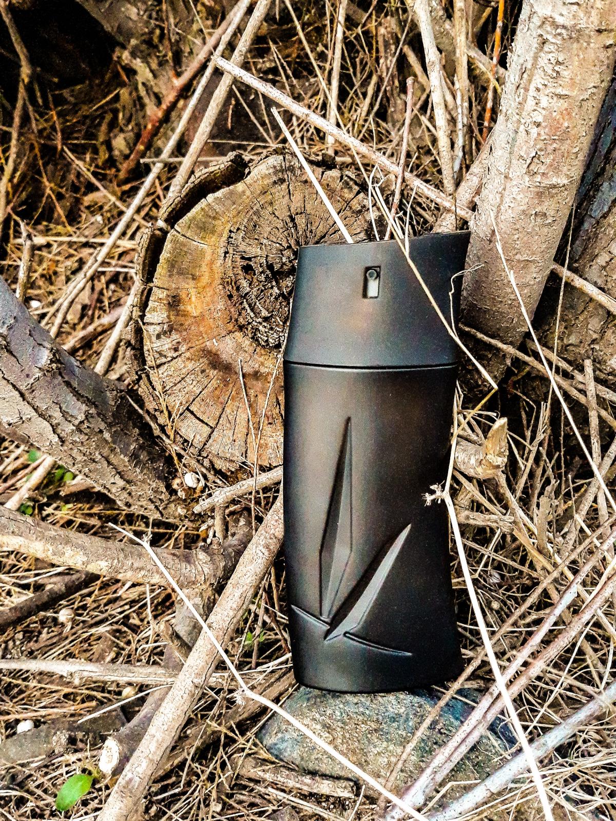 عطر ادکلن کنزو اوم بویزی کنزو - Kenzo Homme Boisee Kenzo - بررسی، قیمت و خرید