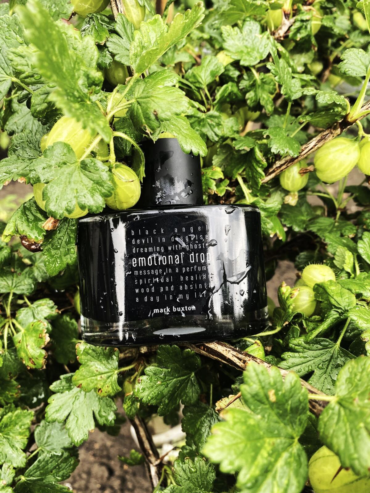 عطر ادکلن ایموشنال دراپ مارک باکستون - Emotional Drop Mark Buxton - بررسی، قیمت و خرید