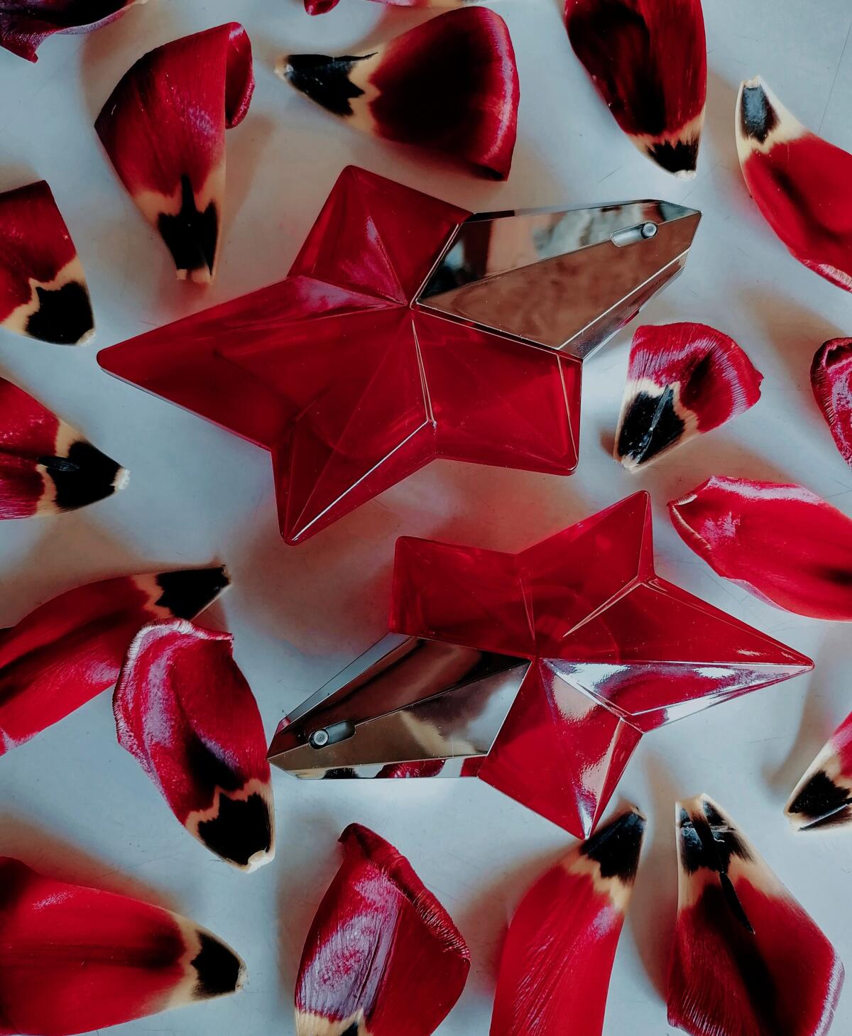 عطر ادکلن انجل پشن استار موگلر - Angel Passion Star Mugler - بررسی، قیمت و خرید