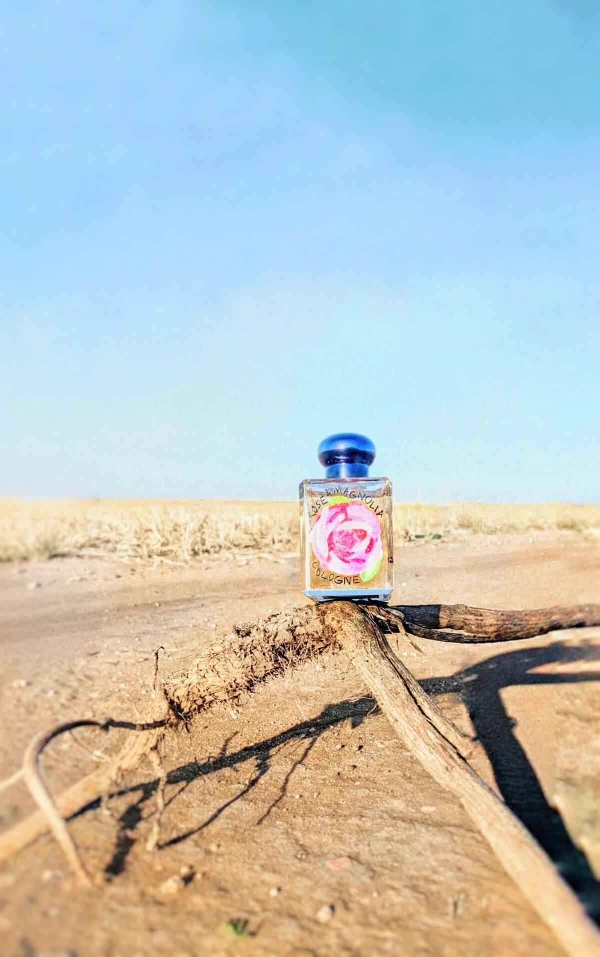 عطر ادکلن رز اند مگنولیا کلون ۲۰۲۴ جو مالون لندن - Rose & Magnolia Cologne 2024 Jo Malone London - بررسی، قیمت و خرید