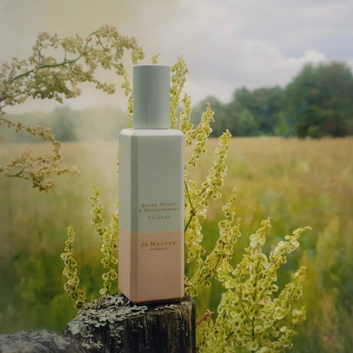 عطر ادکلن گرین ویت اند میدوسوییت جو مالون لندن - Green Wheat & Meadowsweet Jo Malone London - بررسی، قیمت و خرید