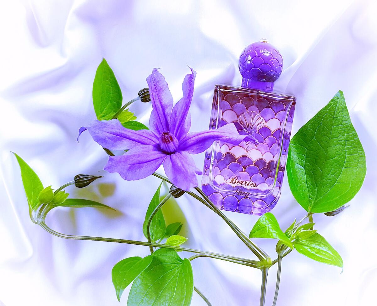 عطر ادکلن بریزبِی لازور پرفیومز - Berries Bay Lazure Perfumes - بررسی، قیمت و خرید