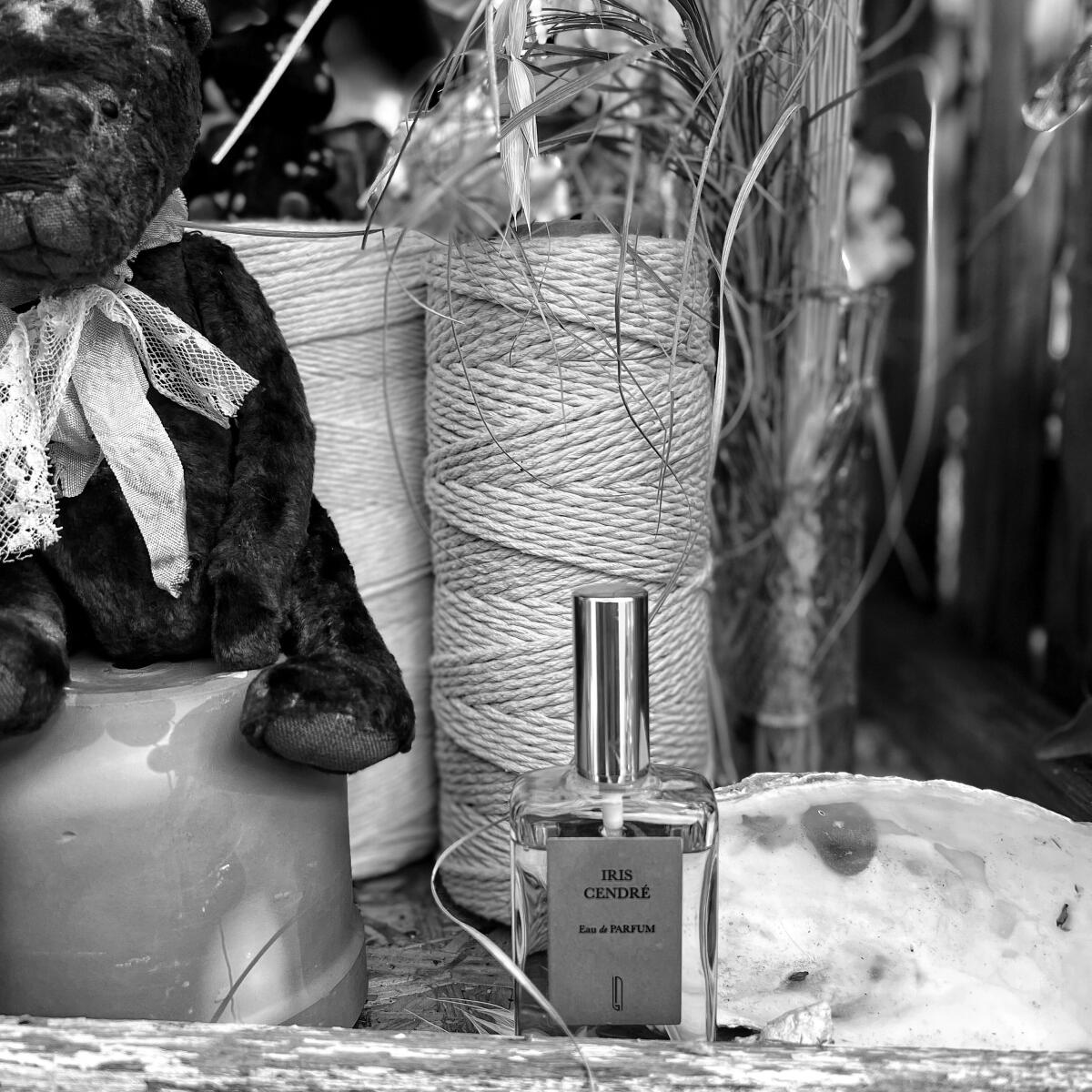 عطر ادکلن آیریس سندر نایومی گودسیر - Iris Cendre Naomi Goodsir - بررسی، قیمت و خرید