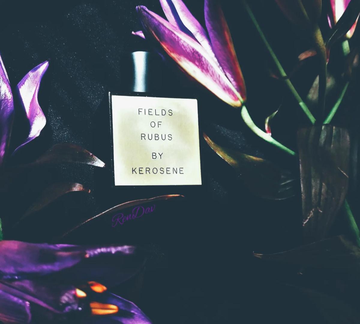 عطر ادکلن فیلدز آو روبوس نفت سفید - Fields of Rubus Kerosene - بررسی، قیمت و خرید